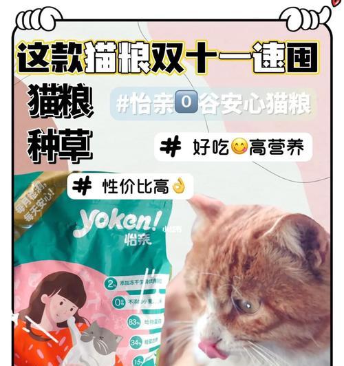 卡哇伊小猫咪攻略（从萌宠到健康伙伴，打造与小猫咪共度美好时光的秘诀）