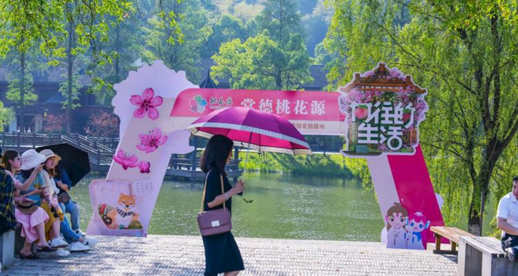 桃园攻略旅游管理技能高考（掌握攻略，成功备考）