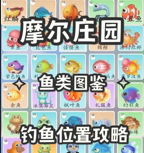《手游天天钓鱼攻略大全》（天天钓鱼攻略分享，让你成为钓鱼大师！）