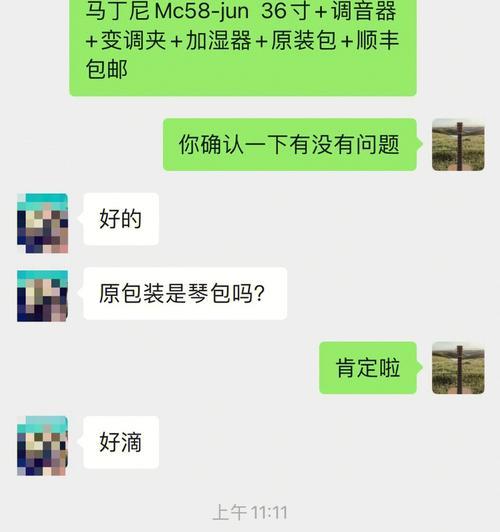 《一零计划》马丁尼技能属性详解（掌握技能，战斗无敌！）